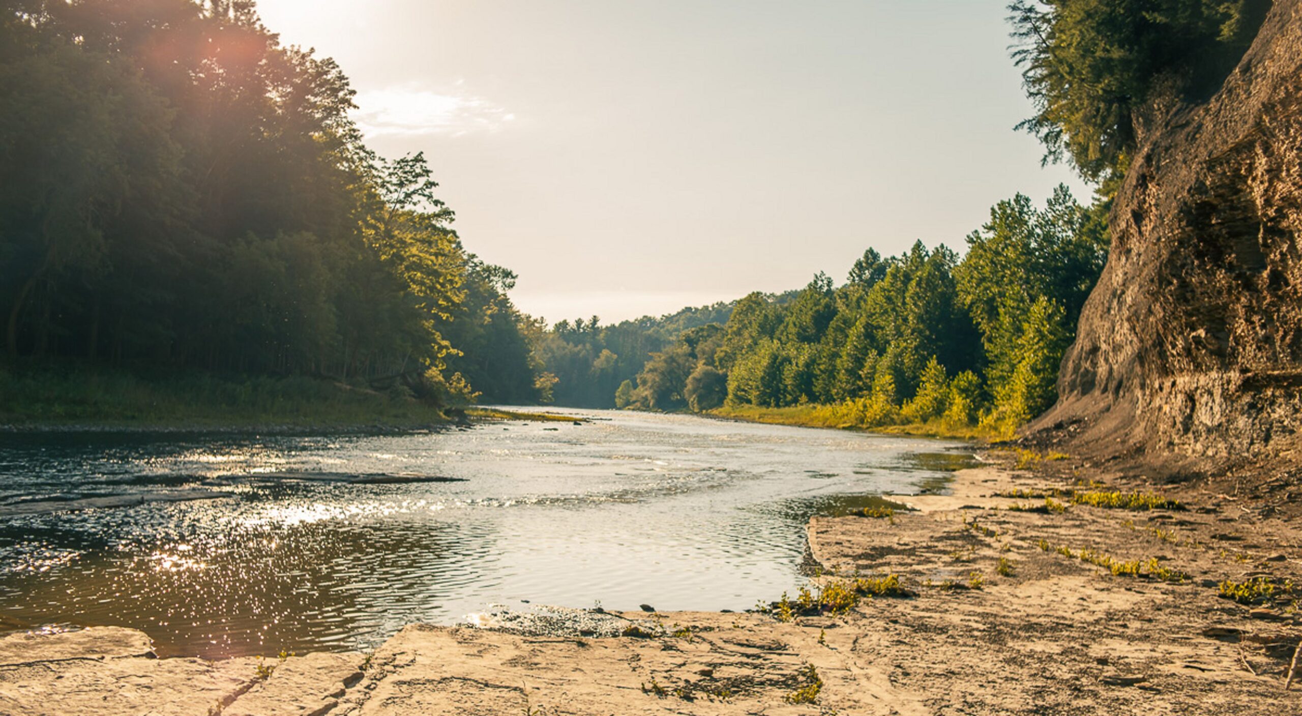 Protecting New York’s Zoar Valley: Family trees help fight climate change