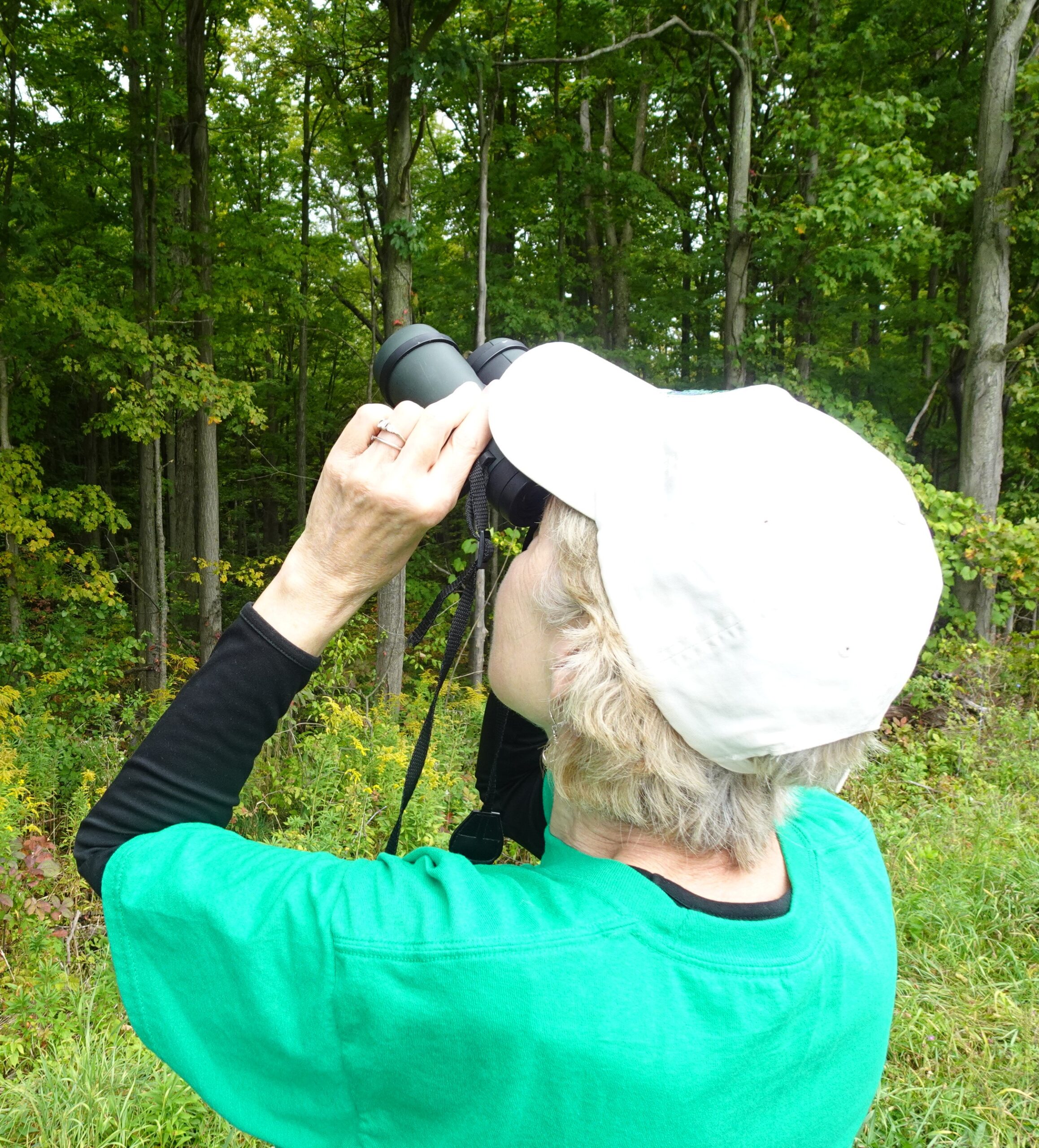 Another Voice: Zoar’s old forests crucial for rare birds