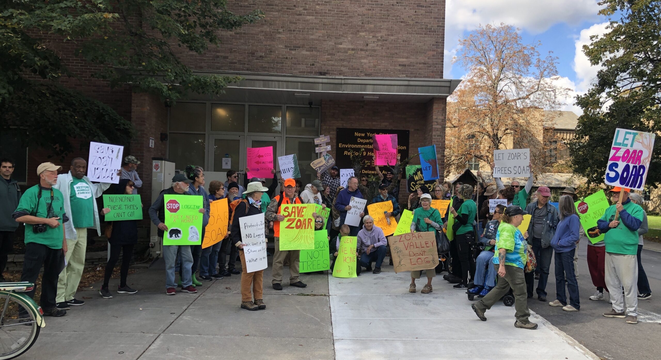 Citizens Protest Logging Plans, and the Trees Protested, Too!