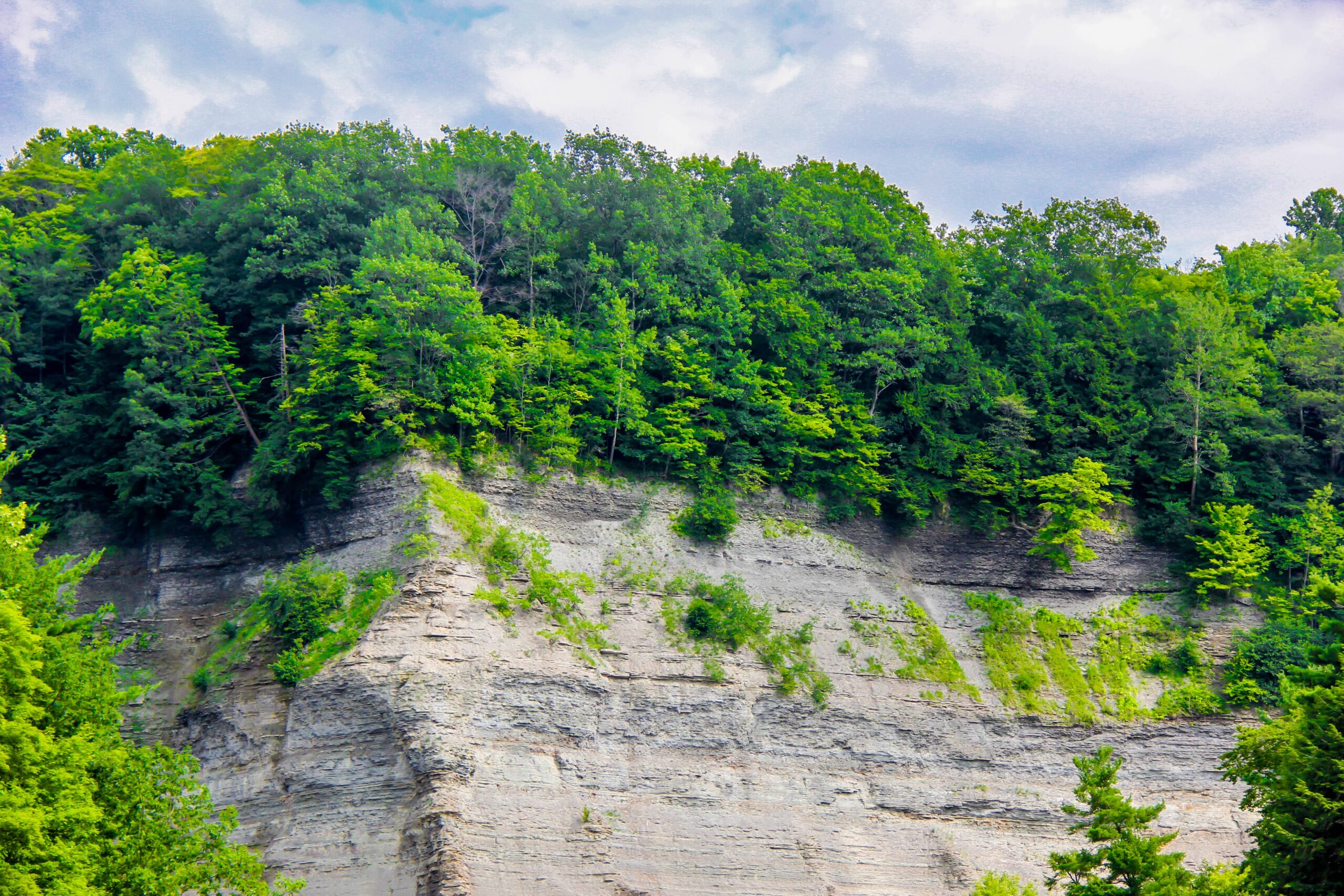 Another Voice: Logging Zoar Valley is a bad deal for the environment